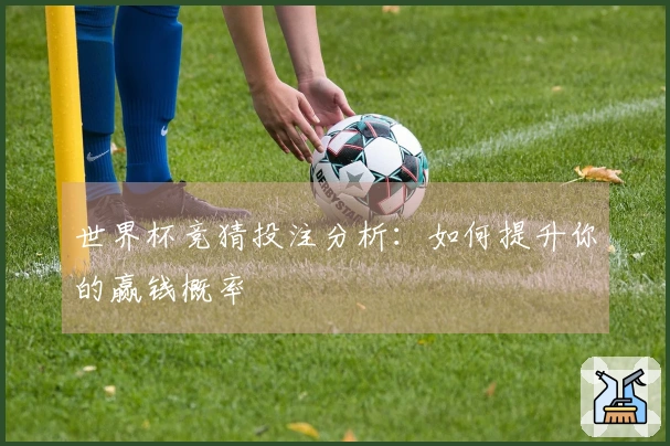 世界杯竞猜投注分析：如何提升你的赢钱概率