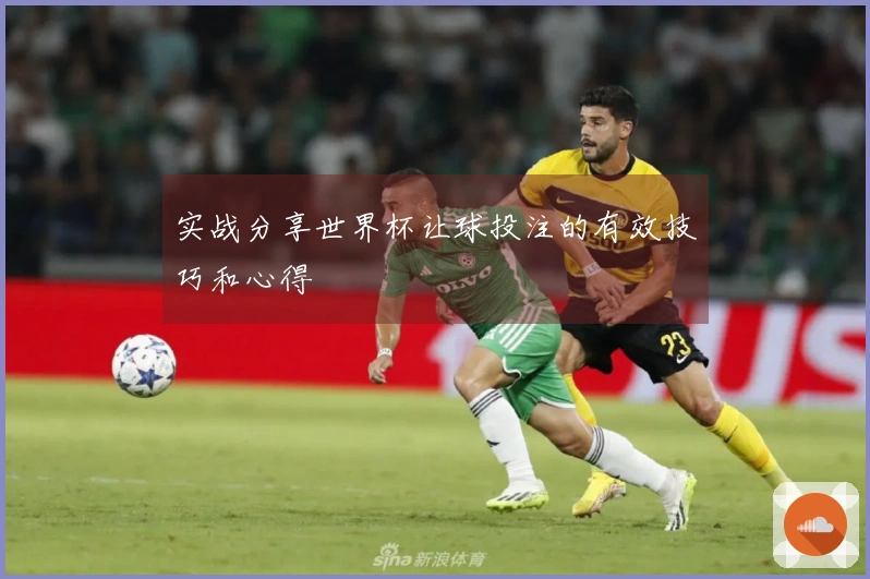 实战分享世界杯让球投注的有效技巧和心得