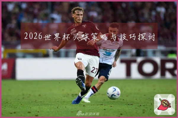 2026世界杯买球策略与技巧探讨