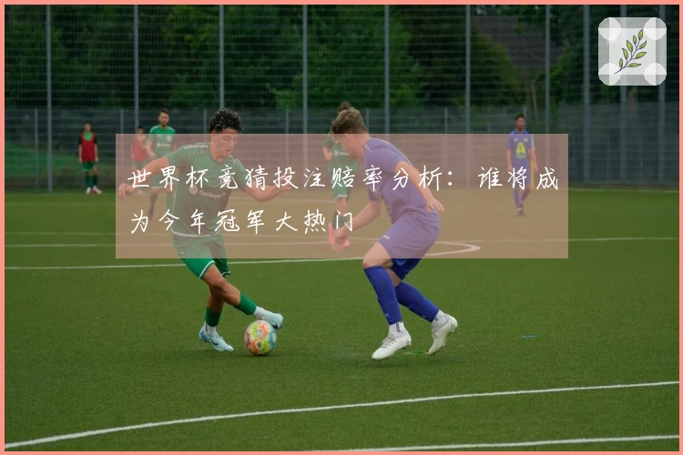 世界杯竞猜投注赔率分析：谁将成为今年冠军大热门