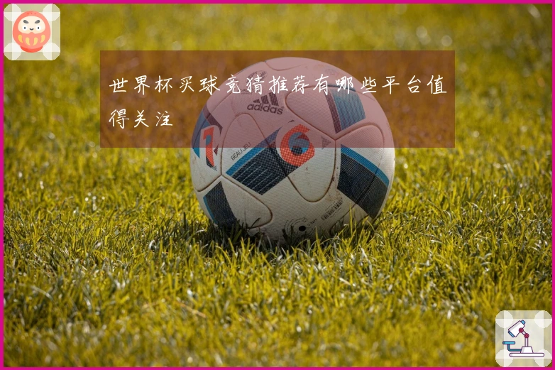 世界杯买球竞猜推荐有哪些平台值得关注